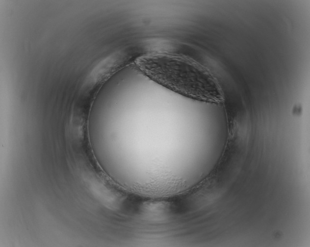 X0000115620452200911101419