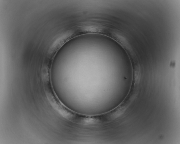 X0000115620453200911101419