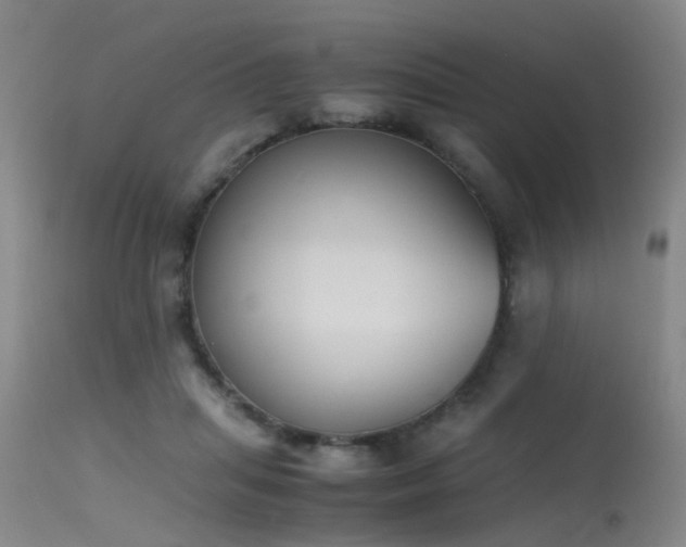 X0000115620455200911101419