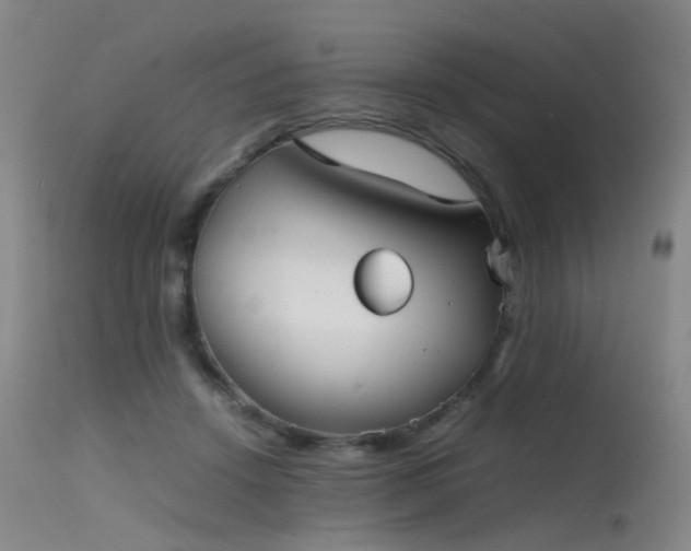 X0000115620456200911101419