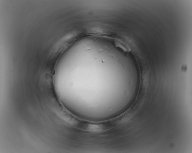 X0000115620457200911101419