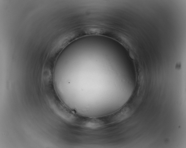 X0000115620459200911101419