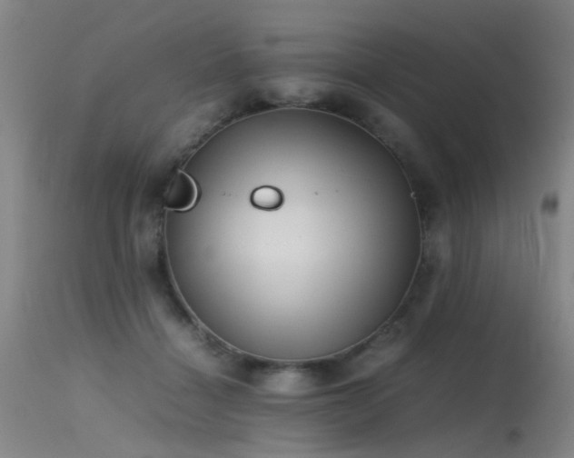 X0000115620460200911101419