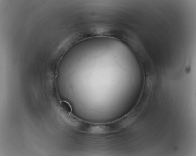 X0000115620461200911101419