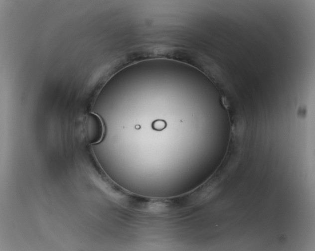 X0000115620462200911101419