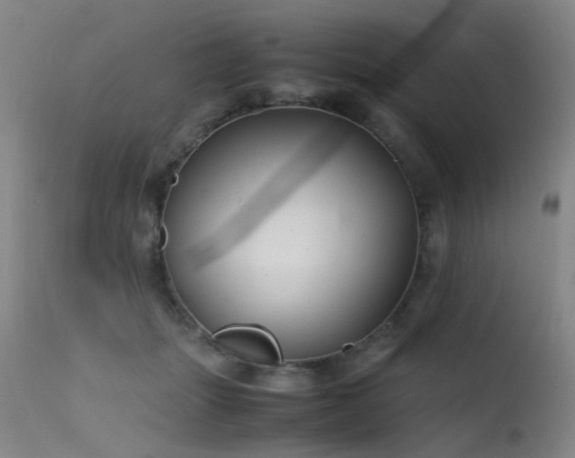 X0000115620463200911101419