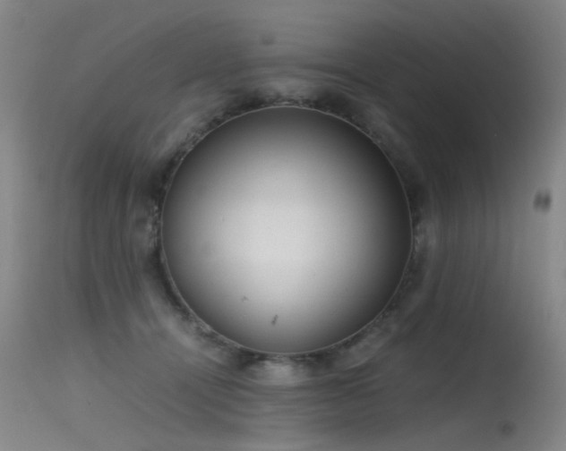 X0000115620464200911101419