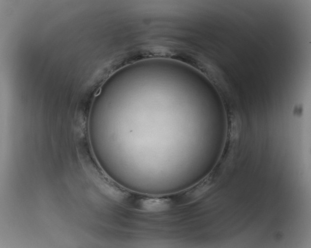 X0000115620465200911101419