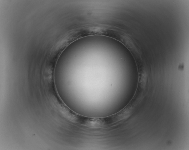 X0000115620466200911101419