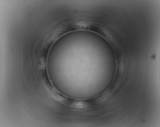 X0000115620467200911101419