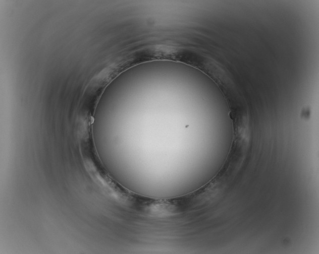 X0000115620468200911101419