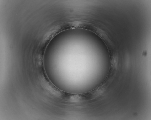 X0000115620470200911101419