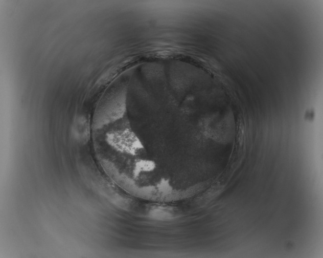 X0000115620471200911101419