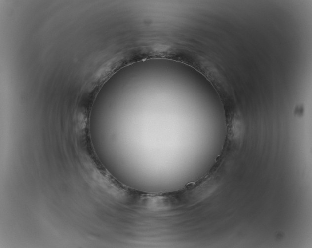 X0000115620472200911101419