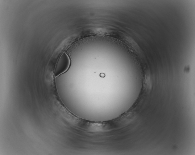 X0000115620473200911101419