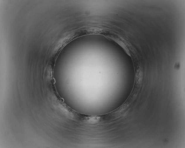 X0000115620474200911101419