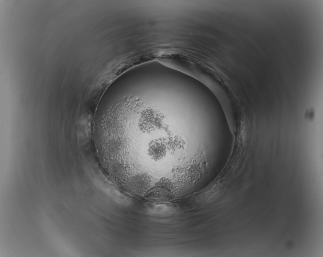 X0000115620475200911101419