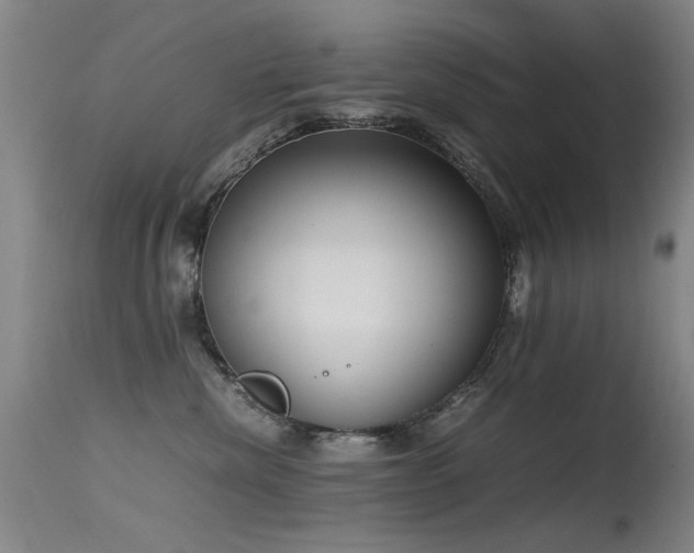 X0000115620476200911101419