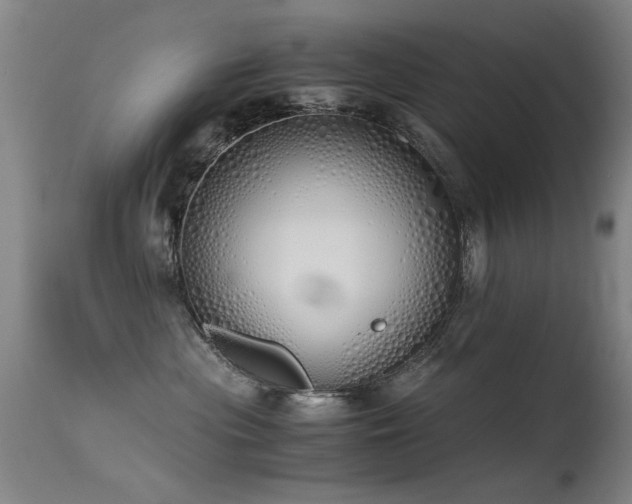 X0000115620477200911101419