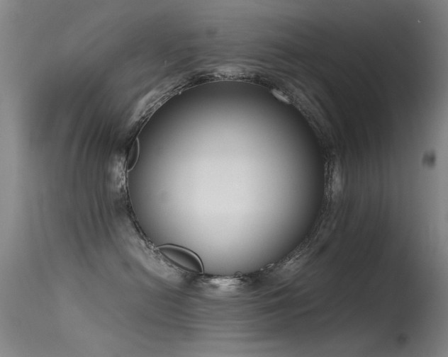 X0000115620478200911101419