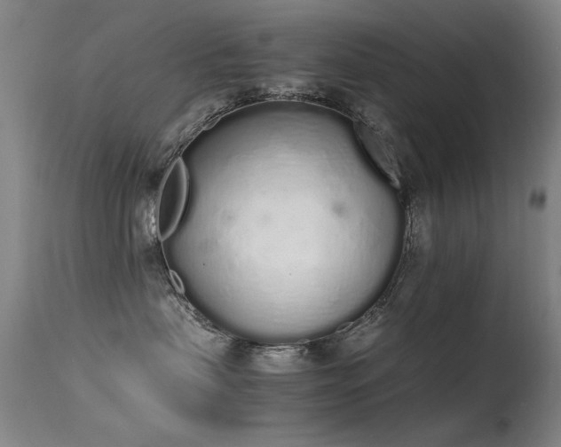 X0000115620479200911101419