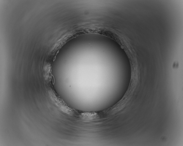 X0000115620480200911101419