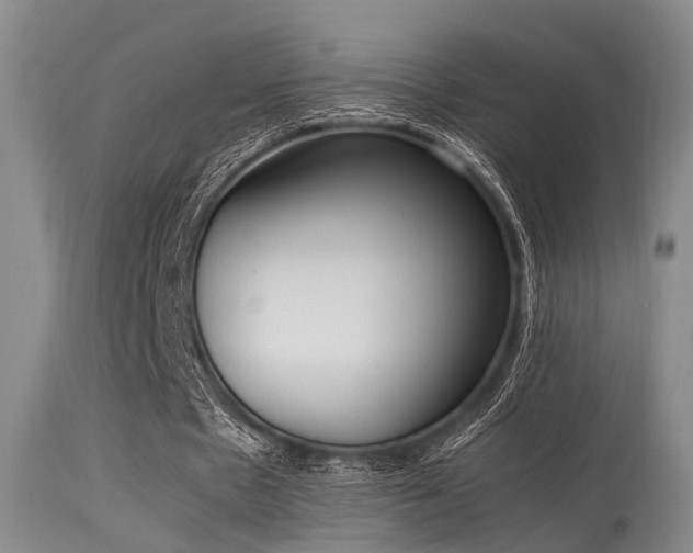 X0000115620481200911101419