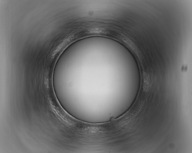 X0000115620482200911101419