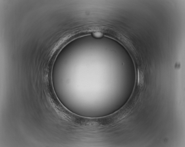 X0000115620483200911101419