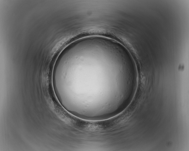 X0000115620487200911101418