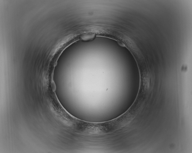 X0000115620488200911101418