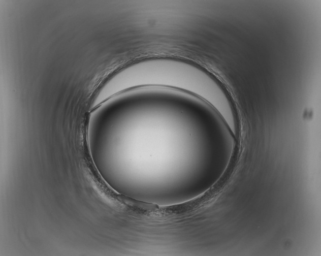 X0000115620489200911101418