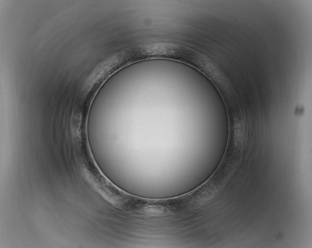 X0000115620490200911101418