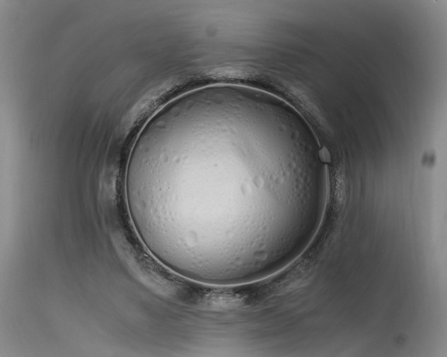 X0000115620491200911101418