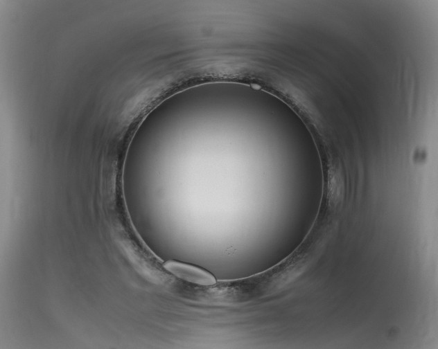 X0000115620493200911101418