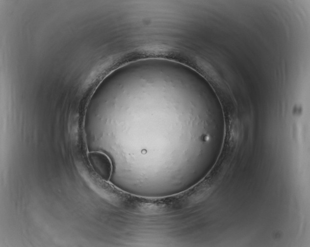 X0000115620494200911101418