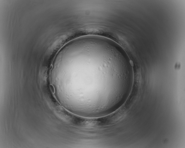 X0000115620495200911101418