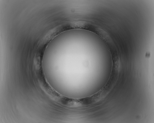 X0000115620498200911101418