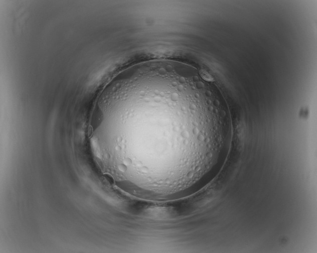 X0000115620499200911101418