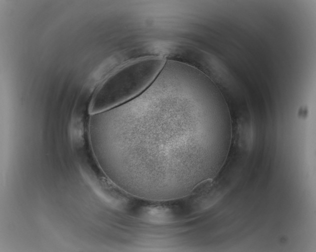 X0000115620500200911101418