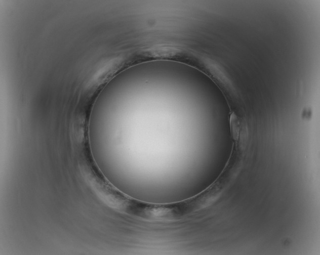 X0000115620501200911101418