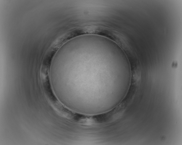 X0000115620503200911101418