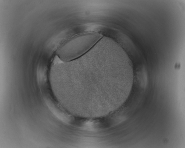 X0000115620504200911101418