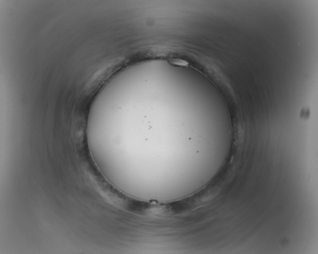 X0000115620505200911101418