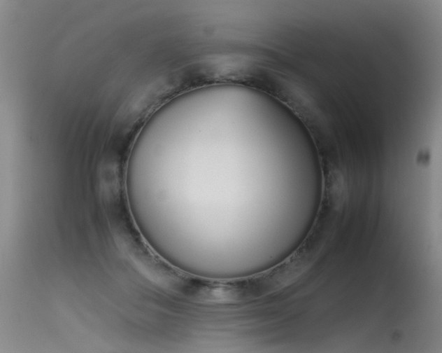 X0000115620506200911101418