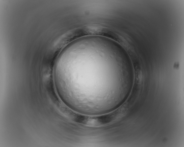 X0000115620507200911101418