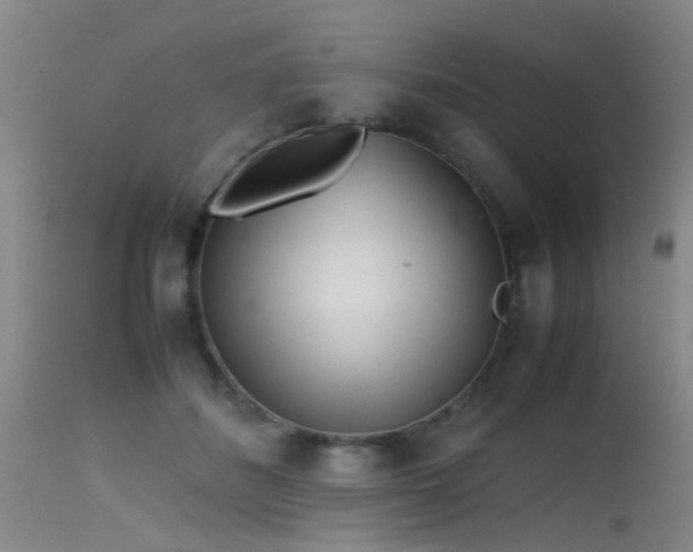 X0000115620508200911101418