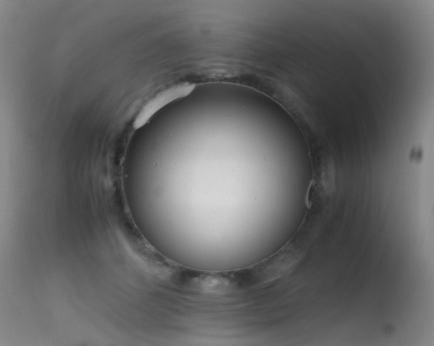 X0000115620512200911101418