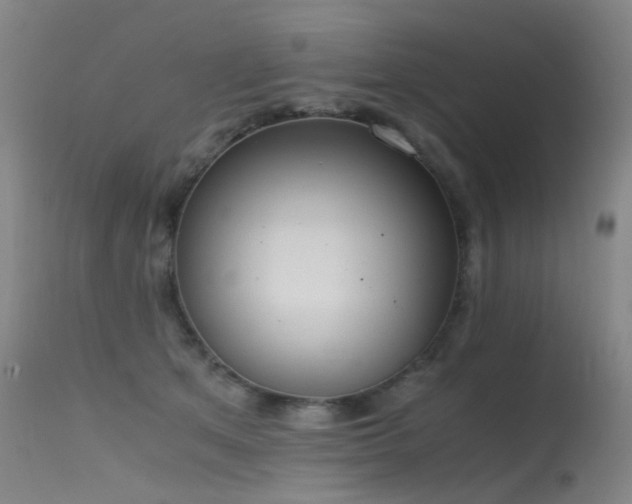 X0000115620513200911101418