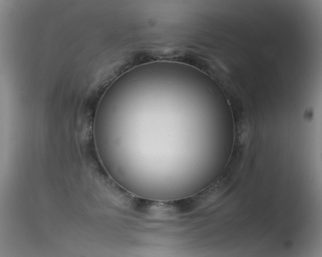 X0000115620515200911101418